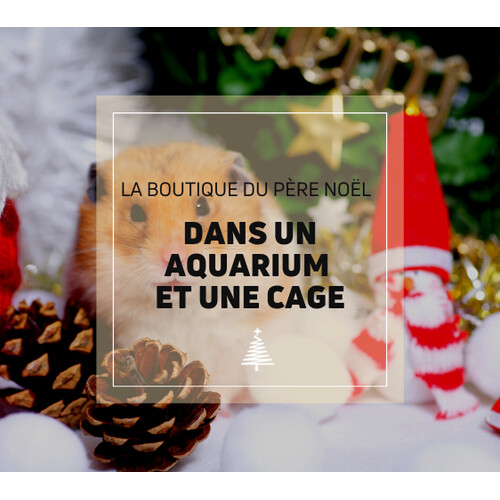 La Boutique du Père Noël - Dans un aquarium et une cage