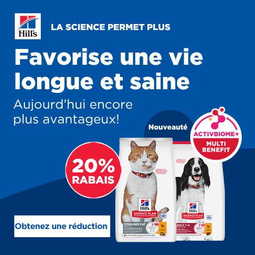 Promotion HILL'S: 20 % de réduction sur l'alimentation vétérinaire pour chiens et chats