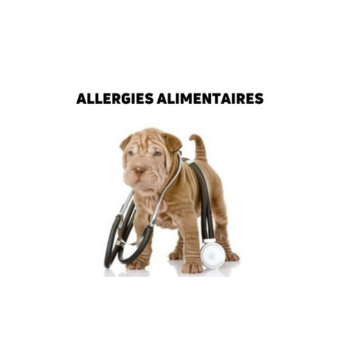 Nourriture pour chiens allergiques