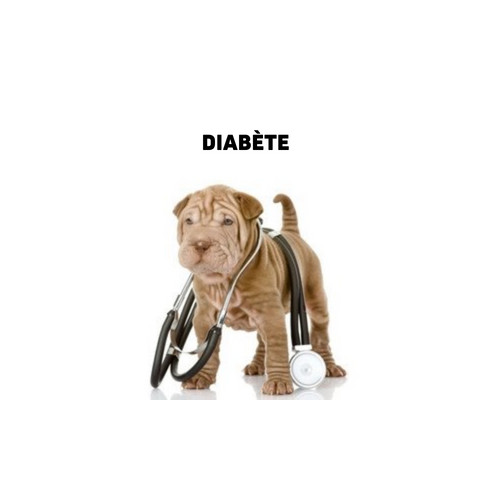 Nourriture vétérinaire pour chiens diabétiques