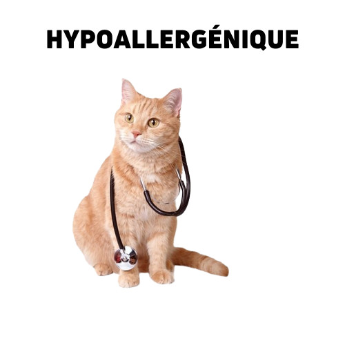 Nourriture vétérinaire hypoallergénique pour chats