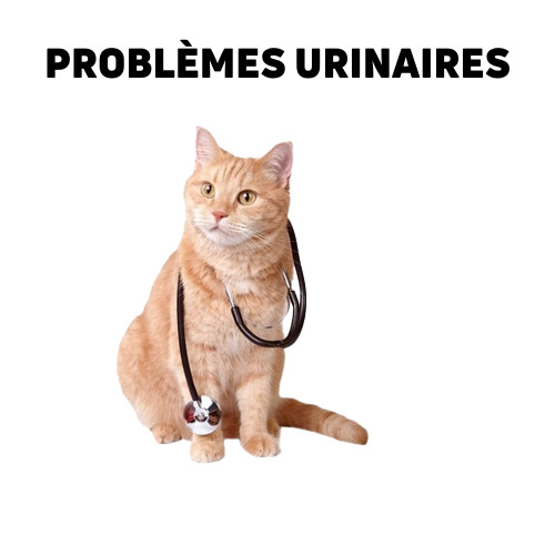 Nourriture vétérinaire pour chats pour les voies urinaires