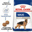 ROYAL CANIN Maxi Adult 15 kg, croquettes pour chiens adultes (jusqu'à 5 ans) de grandes races + BAYER FORESTO, collier anti-tiques et anti-puces pour chiens de plus de 8 kg