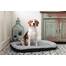 FERA Sky Ponton Lit pour chien M 88 x 62 cm