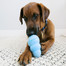 KONG Puppy medium 85mm kp2