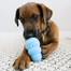 KONG Snacks Puppy 320 g