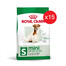 ROYAL CANIN Mini Adult 8+ 800 g, croquettes pour chiens âgés de 8 à 12 ans de petites races x 15