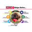 KONG Puppy XS