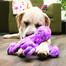 KONG SoftSeas poulpe S