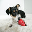 KONG Classic large 105 mm t1