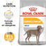 ROYAL CANIN Maxi Dermacomfort 12 kg