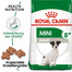 ROYAL CANIN Mini Adult 8+ pour les chiens âgés de 8 à 12 ans, les petites races 8 kg (10 x 0,8 kg)