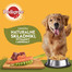 PEDIGREE Adult nourriture humide pour chiens en gelée 24 sachets de 100 g