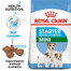 ROYAL CANIN Mini Starter Mother & Babydog 4 kg - Croquettes pour chiots et chiennes en gestation et en lactation