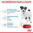 ROYAL CANIN Mini Starter Mother & Babydog 8 kg