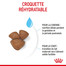 ROYAL CANIN Mini Starter Mother & Babydog 8 kg