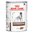 ROYAL CANIN Dog gastro intestinal - nourriture humide pour chiens souffrant de troubles gastro-intestinaux - 12 x 400 g