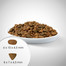 PERFECT FIT Active 1+ Croquettes riches en viande de bœuf pour chats adultes 7 kg