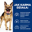 HILL'S Prescription Diet Canine GI Biome 10 kg aliments pour chiens souffrant de maladies digestives