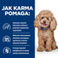 HILL'S Prescription Diet Canine GI Biome 10 kg aliments pour chiens souffrant de maladies digestives