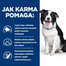 HILL'S Prescription Diet Canine t/d 4 kg des aliments pour favoriser la santé bucco-dentaire de votre chien