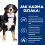 HILL'S Prescription Diet Canine Metabolic + Mobility 12 kg