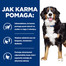 HILL'S Prescription Diet Canine Metabolic + Mobility 12 kg
