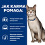 HILL'S Prescription Diet Cat K/D Kidney Care 3 kg