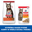 HILL'S Science Plan Feline 10kg pour chats adultes avec agneau