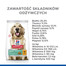HILL'S Science Plan Adult 1+ Perfect Weight Large breed Croquettes au poulet chiens de grande race 12 kg