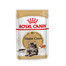ROYAL CANIN Mainecoon Adult Loaf 48x85 g