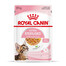 ROYAL CANIN Kitten Sterilised  en gelée 48 x 85 g - pour chatons de 6 à 12 mois