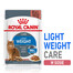ROYAL CANIN Light Weight Care 48x85 g bouchées en sauce