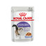 ROYAL CANIN Sterilised émincé en gelée - nourriture humide pour chats adultes stérilisés 24 x 85 g
