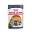 ROYAL CANIN Intense BEAUTY en sauce 48x85 g
