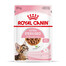ROYAL CANIN Kitten Sterilised nourriture humide en sauce pour chatons jusqu'à 12 mois, stérilisée 24 x 85 g