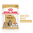 ROYAL CANIN Shih Tzu Adult Loaf nourriture humide 24 x 85 g morceaux en sauce, pour chiens shih tzu adultes