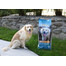 DIVINUS Adult - Nourriture sèche & complète pour chiens adultes - 20 kg