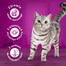 WHISKAS Adult 300g nourriture sèche pour chats adultes avec du délicieux bœuf