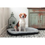 FERA Sky Ponton lit pour chien XL 116 x 83 cm