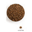 ACANA Dog Puppy & Junior 11.4 kg