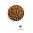 ACANA Puppy large breed dog 17 kg