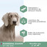EUKANUBA Daily Care Adult Sensitive Joints - pour chiens souffrant de problèmes articulaires - 12 kg