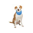 TRIXIE Bandana rafraîchissant PVA, XL: 47–57 cm, bleu