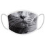 FERA Masque de protection British Shorthair Cat