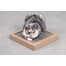 CARTON+ PETS Tom Griffoir pour chat en carton