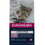EUKANUBA Grain Free Kitten - Saumon sans céréales pour les chatons en croissance - 2 kg