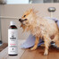 PETS - Shampooing Vitaminé pour pelages courts - 250 ml