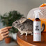 PETS Home Mist Perfume Sea Breeze 250 ml neutralisateur d'odeurs d'intérieur en brouillard