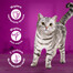 WHISKAS Adult - nourriture humide en sauce au saumon pour chats adultes - sachet 28x85g